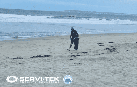 Advantages of a Local Beach Clean-up