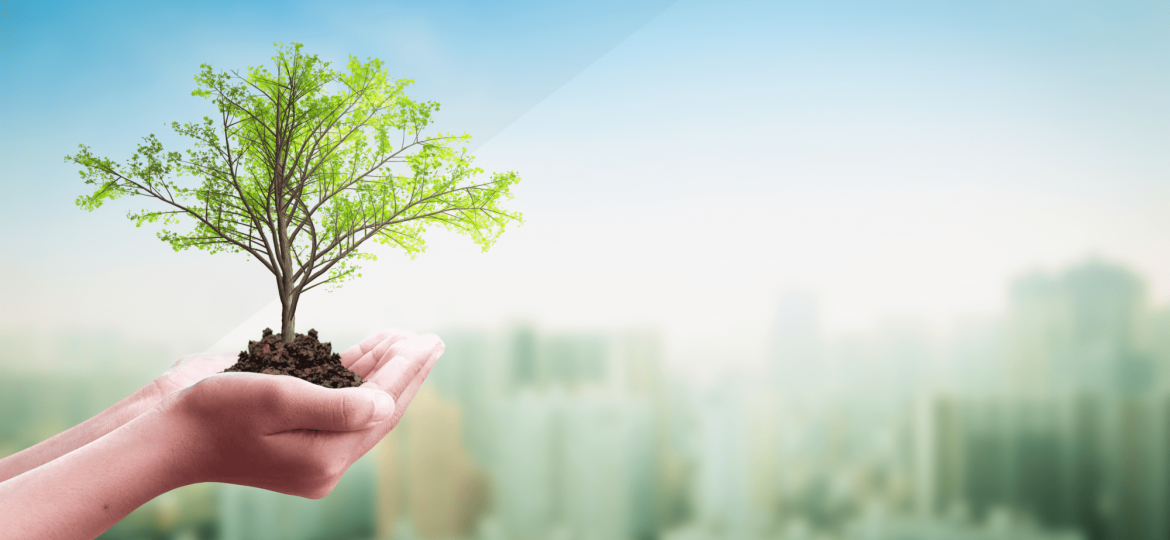 Celebrating Earth Day 2025: Building a Greener Future with Servi-Tek Facility Solutions